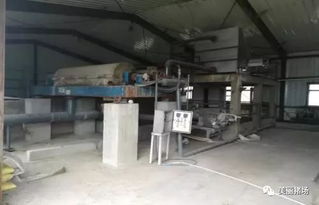 環(huán)保督察下的警示 龍頭企業(yè)污染、示范項目失靈與新型技術(shù)的破局之路